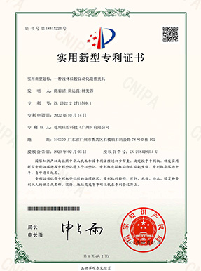 Patent